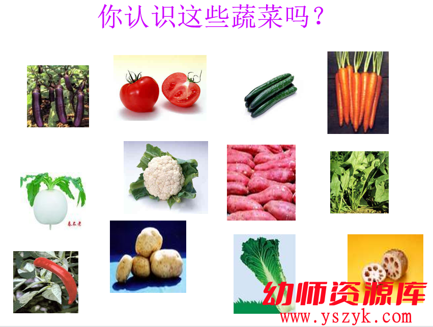 图片[1]-小班音乐《可爱的蔬菜》视频+PPT+教案+MP3音乐文件-YS0037-幼师资源库