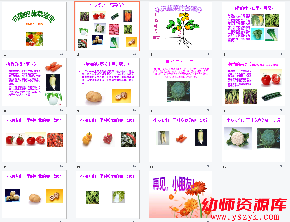 图片[2]-小班音乐《可爱的蔬菜》视频+PPT+教案+MP3音乐文件-YS0037-幼师资源库