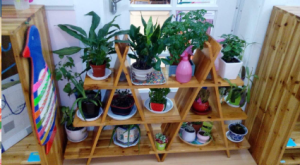 M0446中班社会《夸夸我的班级》视频+教案+课件+点评-幼师资源库