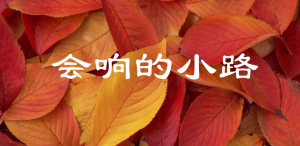 S0337小班语言《会响的小路》PPT课件+教案+视频-幼师资源库