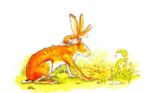 L0134大班语言绘本《猜猜我有多爱你》应彩云视频+教案+课件+音乐+教具-幼师资源库