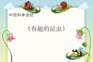 M0655中班科学《有趣的昆虫》视频+课件+反思+音频-幼师资源库