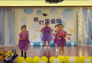 WD028-2022幼儿园舞蹈-幼师资源库