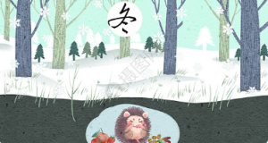 M0426-中大班社会科学《立冬》PPT+教案+视频故事-幼师资源库