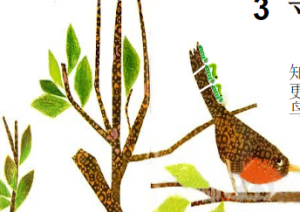 L0089大班语言《一寸心》视频+课件-幼师资源库