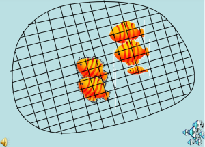 S1219小班美术《网鱼》视频课件教案-幼师资源库