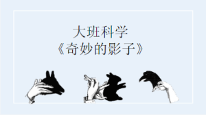 L0714大班科学《奇妙的影子》多个版本 视频+教案+课件+反思-幼师资源库