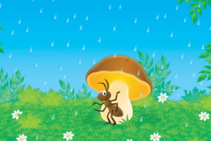 S1431小班音乐《小蚂蚁避雨》视频+教案-幼师资源库