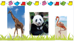 S0638小班科学《清猜谁来了》视频+教案+课件+打印图-幼师资源库