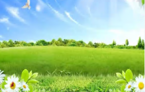 M1605中班体育游戏《聪明的小公鸡》视频+教案+课件+配音-幼师资源库