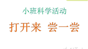 S0619小班科学《打开来尝—尝》视频+教案+课件+反思-幼师资源库