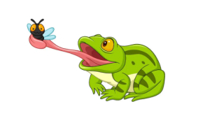 S1642小班体育《小青蛙捉害虫》2024 视频+教案+音乐-幼师资源库