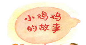 K030小班性教育主题课程《小鸡鸡的故事》课件+教案-幼师资源库