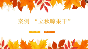 YXAL15.游戏案例分析—立秋晾果干-幼师资源库