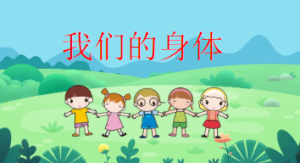 S0011小班健康《我们的身体》PPT课件+教案-幼师资源库