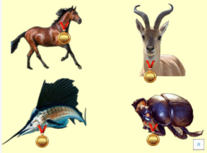 M0623中班科学《动物的超级本领》 视频+教案+课件+反思+打印图-幼师资源库