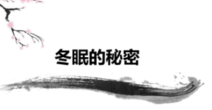 M0188中班语言《冬眠的秘密》（微课）微视频+教案+课件-幼师资源库