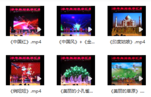 WD017-幼儿舞蹈教学汇报演出【14支舞】-幼师资源库