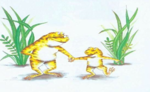 L1807-大班绘本《蛤蟆爷爷的秘诀》视频+教案+课件-2024-幼师资源库