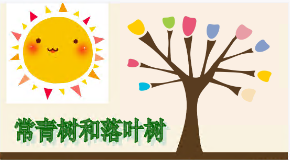 L0664大班科学《落叶树与常青树》课件+教案-幼师资源库