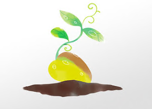 S0352小班语言《苹果种子的故事》有声PPT课件+故事配音（有配乐）+教案+纸面教具-幼师资源库