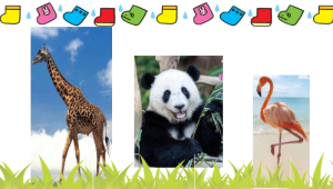 S0680小班科学《猜猜谁来了》视频+教案+课件+打印图-幼师资源库