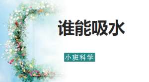 S0645小班科学《谁能吸水》视频+课件+教案+教具-幼师资源库