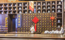 L0741大班科学《神奇的中草药》视频+课件+教案+反思-幼师资源库