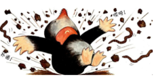 M0004中班语言绘本《啪啦啪啦-碰》 视频+教案+课件+音乐+动画-幼师资源库