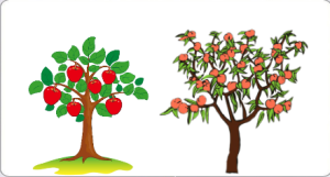 S0358小班语言《水果在哪里》视频+教案+PPT课件+音乐-幼师资源库