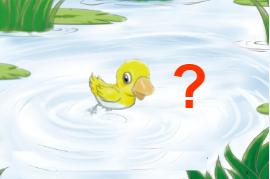 L0057大班语言绘本《划圈儿的小小鸭》视频+教案+课件+配音-幼师资源库