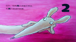 M1113中班数学《认识数字1-10》《完美小狗阿波罗》微课 视频+课件+教案-幼师资源库