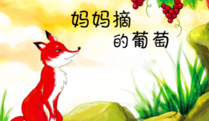 L0059大班语言绘本《妈妈摘的葡萄》视频+教案+课件+配音-幼师资源库