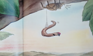 S0362小班语言《蚯蚓的日记》（微课）微视频+教案+课件-幼师资源库