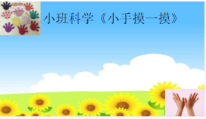 S0651小班科学《小手摸—摸》视频+课件+教案+反思-幼师资源库