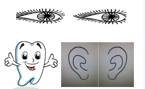 L0302大班健康《健康日》视频+课件+教案+反思-幼师资源库