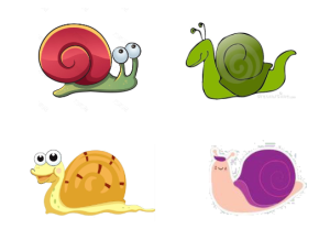 M0629中班科学《蜗牛的小秘密》视频+教案+课件+图片+配音-幼师资源库