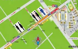 L0654大班科学《不一样的它们》视频+教案+课件-幼师资源库