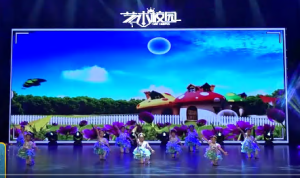 WD029-舞蹈更新文件夹-幼师资源库