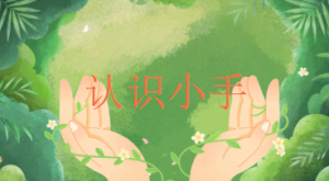 S0073小班健康《认识小手》(2个版本)视频+课件+教案+反思-幼师资源库