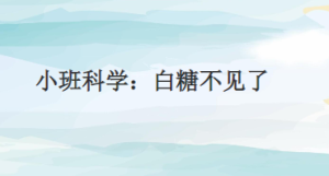 S0647小班科学《白糖不见了》视频+教案+课件+打印图-幼师资源库