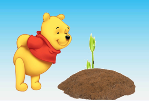 S0234小班语言游戏《熊宝宝的小芽芽》视频+教案+课件+反思-幼师资源库