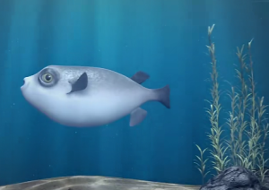 L1523大班音乐游戏《河豚冒险记》视频+教案+音乐+课件+图片-幼师资源库