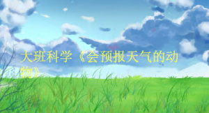 L0626大班科学《会预报天气的动物》课堂实录+希沃课件+教案-幼师资源库