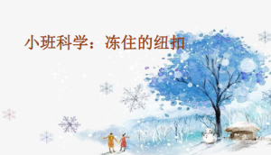 S0681小班科学《冻住的纽扣》视频+课件+教案+反思-幼师资源库