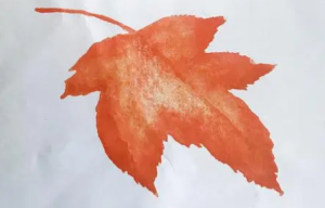 M0105中班亲子共读《一片叶子落下来》视频+教案+课件-幼师资源库