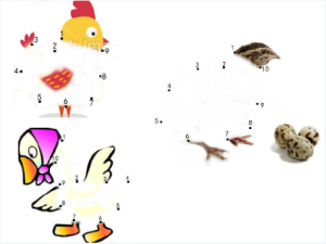 M1055中班数学活动《蛋宝宝》视频+教案+课件+图片-幼师资源库