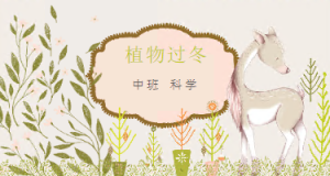 M0611-中班科学《植物过冬》PPT+教案-幼师资源库