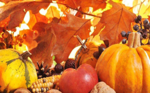 M0408中班社会《丰收的秋天》(微课)视频+教案+课件+反思-幼师资源库