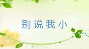 M0008中班语言活动《别说我小》 视频+教案+课件+反思-幼师资源库